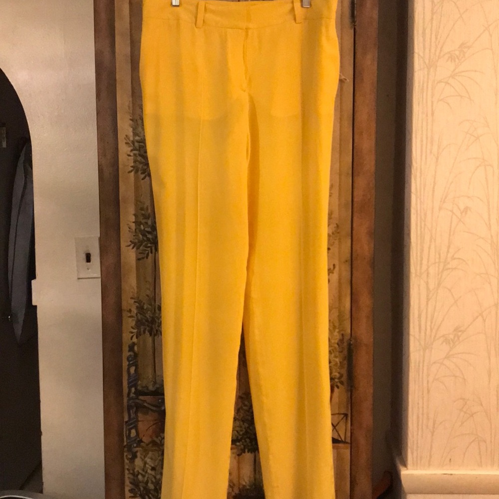 Designer Genny Silk Trousers